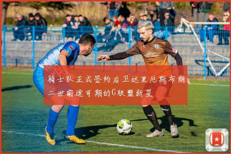 骑士队正式签约后卫达里厄斯布朗二世前途可期的G联盟新星
